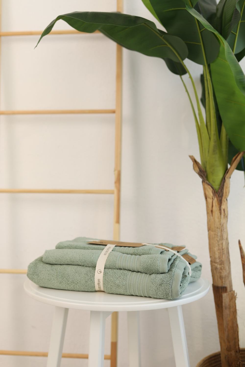      100 %   Ecocotton Venus 80*150 , 50*90, 30*50  -