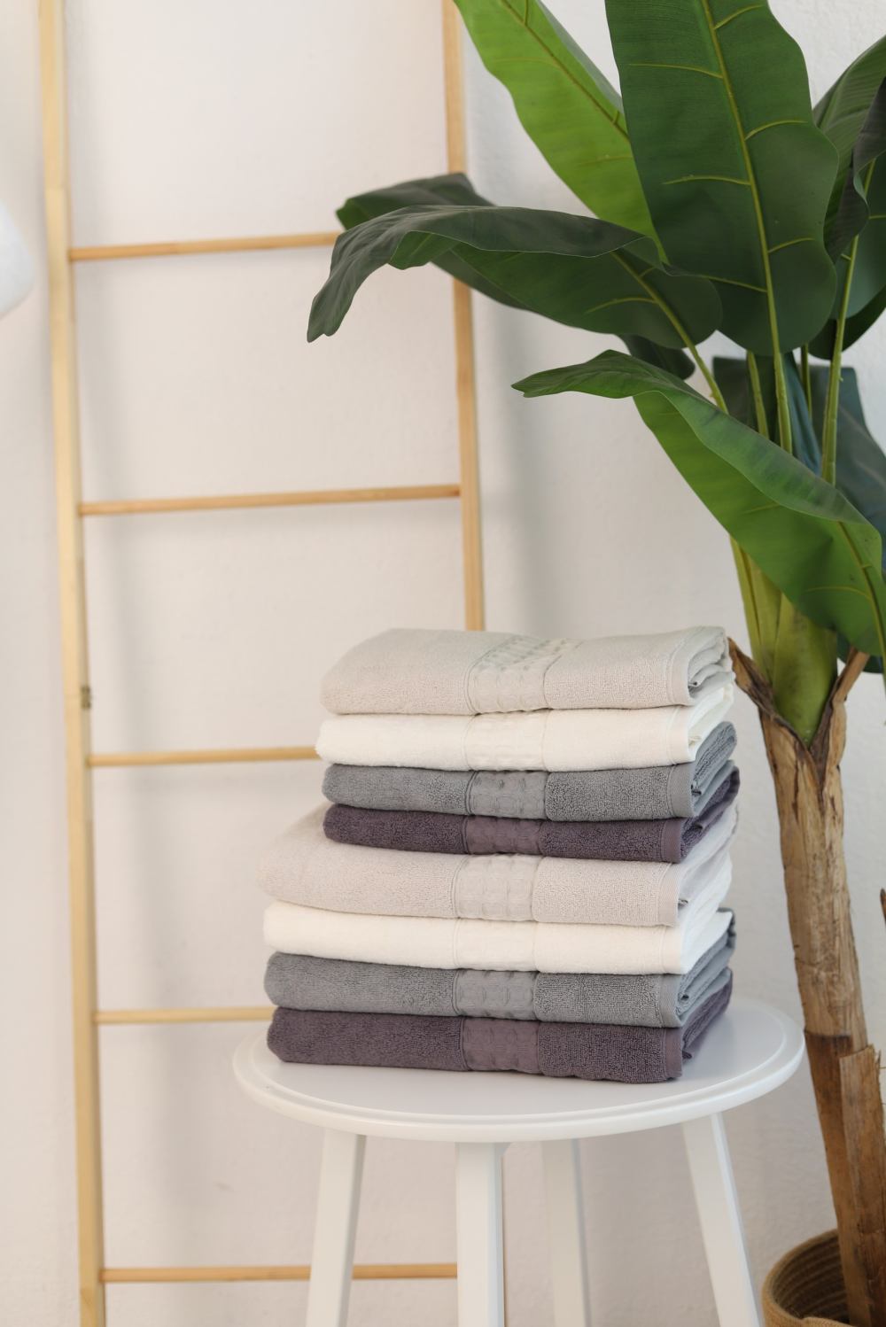       100%  Saheser Aria  50*90, -