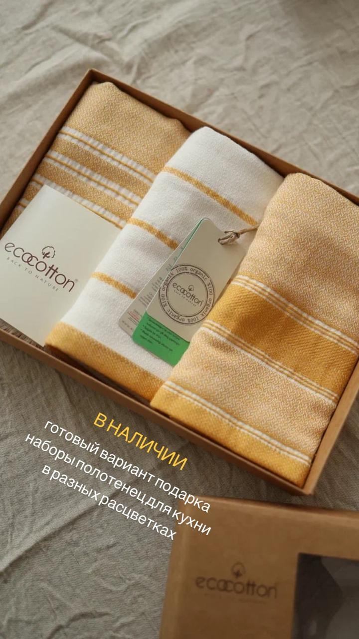       100 %   Ecocotton ELIS  40*60  - 3 . - -